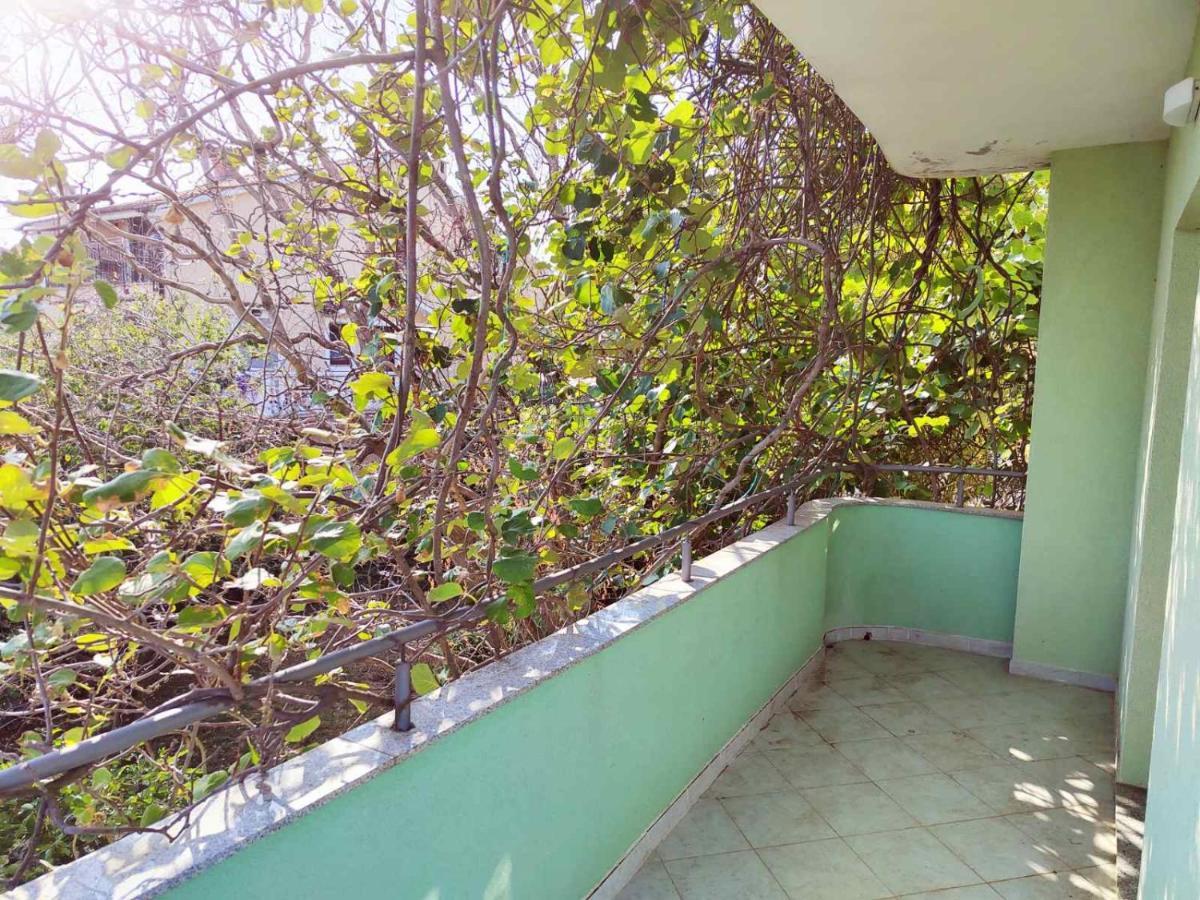 Green House Čavle المظهر الخارجي الصورة